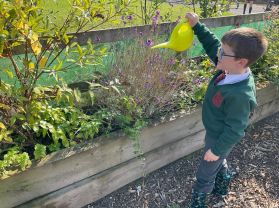 Outdoor Learning in Mrs Callaghan’s Class