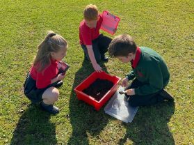 Y5 Mrs Adams - Excavations