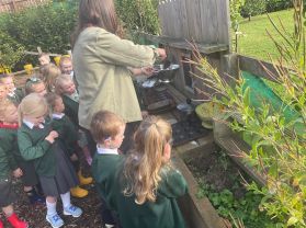 Outdoor Learning - Mrs Walsh’s Class 