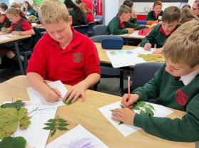 Miss G’s Class: Leaf Identification and Finding the Area