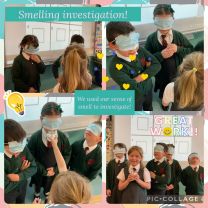 Smelling Investigation. We covered our eyes and used our sense of smell to see if we could identify food in pots with just our nose!