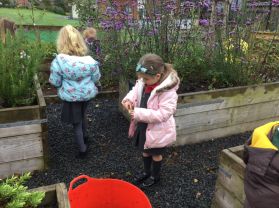 Outdoor Learning - Mrs Walsh’s Class on a Colour Walk 🎨