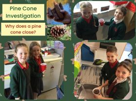 WAU investigations in Year 3 Mrs H/Mrs A