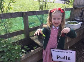 Toys Topic - Push and Pull forces :- Mrs Acheson’s class