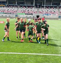Mini Rugby - Kingspan Festival