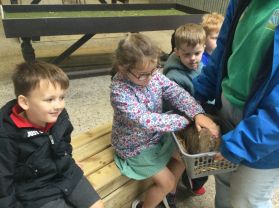 Y1 trip to Streamvale Farm :- Mrs Acheson’s class 🐣🐓🐄🐐🐑