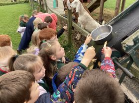 Our trip to Streamvale Farm - Mrs Walsh’s Class 🐷🐰🐴🐣🐭
