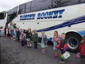 Streamvale Farm - Mrs Norton’s Class 