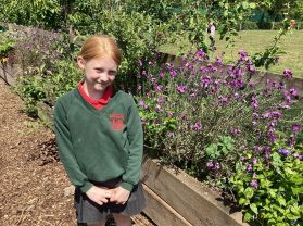 Miss Martin’s Class - Butterflies