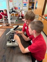 P6R19 Science Day at DHS