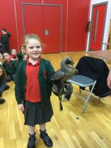 World of Owls - Mrs Peoples Year 2