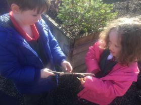 Materials Topic :- Journey Sticks (Mrs Acheson’s class)