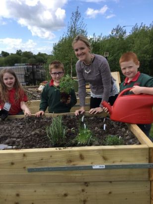 Eco Garden Year 3 Mrs Snoddy