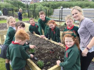 Eco Garden Year 3 Mrs Snoddy